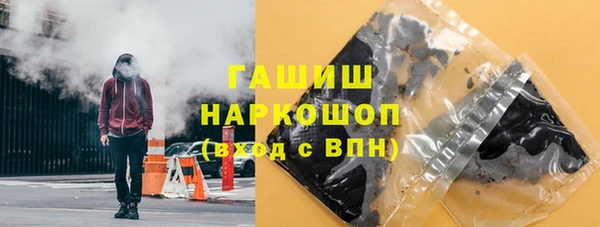 индика Балахна