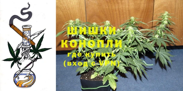 индика Балахна