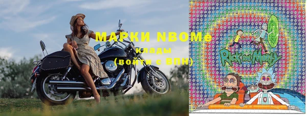 индика Балахна