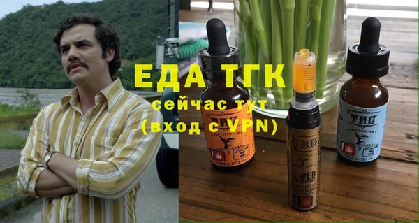 индика Балахна