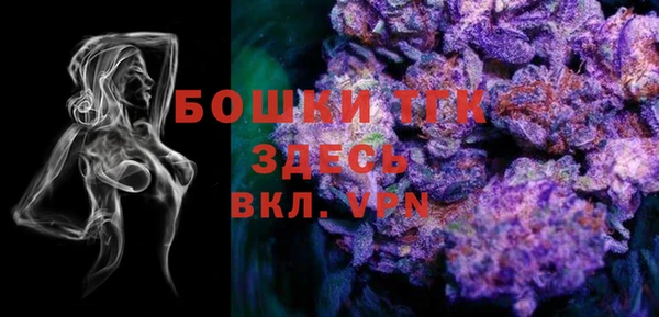 индика Балахна