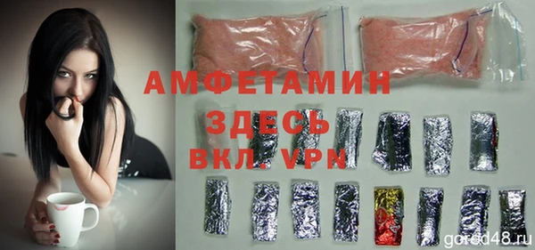 индика Балахна