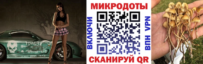 закладка  Гай  Галлюциногенные грибы мухоморы 